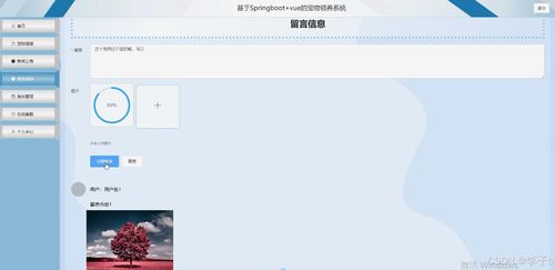 springboot vue宠物领养系统 计算机毕业设计